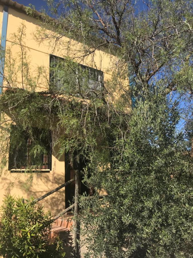 Casa Rural “Las Espinosas” Вильянуэва-дель-Трабуко Экстерьер фото